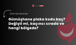 Gümüşhane plaka kodu kaç? Değişti mi, kaçıncı sırada ve hangi bölgede?