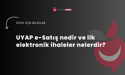 UYAP e-Satış nedir ve ilk elektronik ihaleler nelerdir?