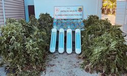 Aksu’da uyuşturucu operasyonu: 1 gözaltı