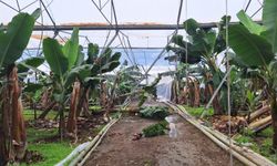 Antalya’daki sel için 586 milyon TL destek