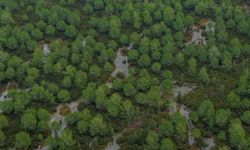 Aksu’da hortum sonrası hasar gören tekneler kaldırılıyor