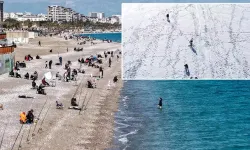 Antalya'da sahilde deniz, zirvede kayak keyfi