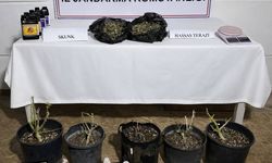 Antalya Aksu’da uyuşturucu operasyonu: 1 gözaltı