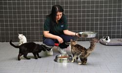 Antalya Büyükşehir’de 3 bin 324 kadın personel görev yapıyor