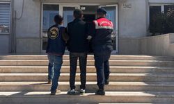 Antalya’da jandarma operasyonu: 367 kişi yakalandı