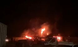 Manavgat’ta muz tesisinde yangın hasara yol açtı