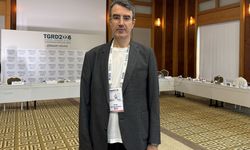 Pelvik variste yarım saatlik çözüm