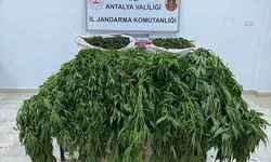 Serik’te uyuşturucu operasyonunda 1 kişi tutuklandı