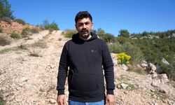 Antalya’da kaçak köpek üretimine 327 bin TL ceza