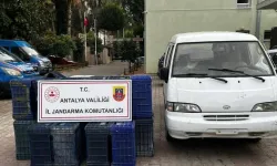 Kumluca’da sahte plakayla hırsızlık yapan 2 kişi yakalandı