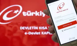 e-Devlet'ten yapılabilecek 20 işlem: Pratik rehber