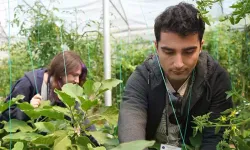 Antalya’da hastalara gelir sağlayan örnek proje