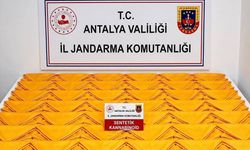 Alanya’da otelde uyuşturucu operasyonu: 1 tutuklama