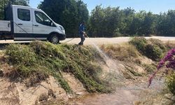 Kumluca’da sivrisinekle mücadele sürüyor