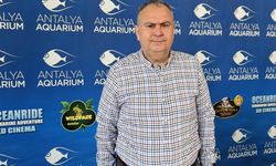 Antalya Akvaryum adına sahte anketle dolandırıcılık