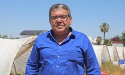 Antalya çileğinde fiyat farkı: halde 30 TL market 150 TL
