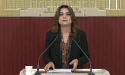 DEM Parti’den çerçeve yasa çağrısı