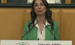 DEM Parti'li Hatimoğulları’ndan çerçeve yasa çağrısı