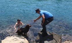 Deniz polisinin köpeği Miço boğulmalara karşı nöbette