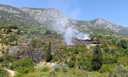 Akseki’de evden ormana sıçrayan yangın kontrol altında