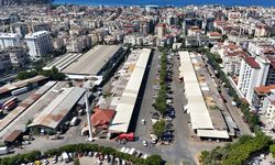 Alanya hali tropikal meyvenin merkezi oldu