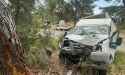 Alanya’da kamyonet ağaca çarptı: 1 ölü, 1 ağır yaralı