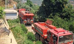 Alanya’da tarım alanı yangını söndürüldü