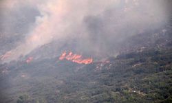 Antalya’da 3 günde 34 yangın: 8 ilçe alevlerle mücadele etti