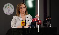 DEM Parti’den çerçeve yasa açıklaması