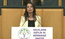 Hatimoğulları: Çerçeve yasa mutabakatla hazırlanmalı