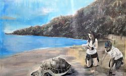 Kızılot’ta caretta yuvaları 790’ı geçti
