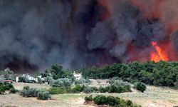 Manavgat, büyük yangının 5 yıl ardından yeniden yeşerdi
