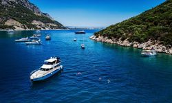 Sıçan Adası yazın ilgi odağı oldu