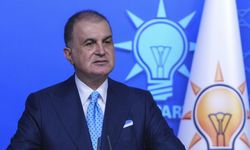Çelik’ten AP’nin TSK kararına tepki