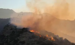 Girit Adası'nda orman yangını çıktı