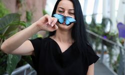 Butterfly World Antalya’da 20 bin kelebek ziyaretçileri bekliyor