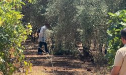 Antalya’da zeytinlikte elleri bağlı genç ölü bulundu