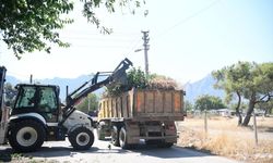 Konyaaltı’nda yangın riskine karşı budama çalışması