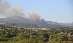 Çanakkale’de orman yangını: Havadan ve karadan müdahale
