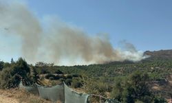 İzmir Ödemiş’te orman yangını çıktı