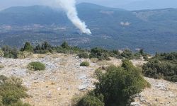 Muğla'da orman yangını
