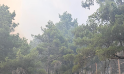 Manavgat’taki orman yangını 22 saat sonra kontrol altında
