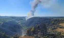 Serik’teki orman yangını 9 saat sonra kontrol altına alındı