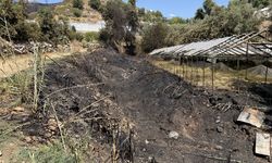 Alanya’da makilik alanda çıkan yangın söndürüldü