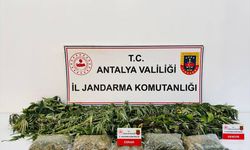 Alanya’da uyuşturucu operasyonunda 1 şüpheli yakalandı