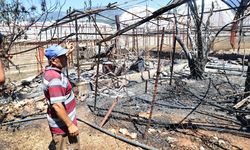 Kaş’taki yangının ardından hasar tespit çalışması başladı
