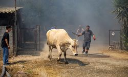 Alevlerin arasından kurtarılan malağına sarılıp, gözyaşı döktü