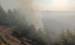 Kumluca’daki orman yangınına müdahale sürüyor