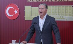 Yeni Partili Emir: TBMM'nin fon krizini görüşmesi şarttır