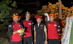 Alanya’da su kuyusunda mahsur kalan kedi kurtarıldı
